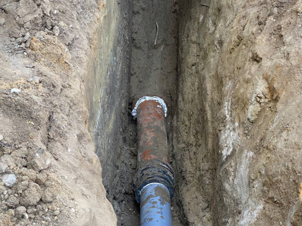 Best Basement water damage restoration  in Freeport, PA