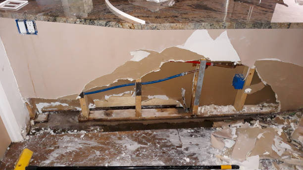 Best Water damage restoration process  in Freeport, PA