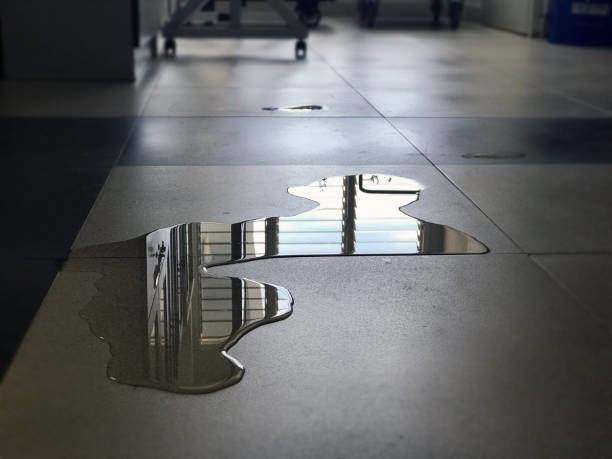 Best Water damage restoration near me  in Freeport, PA