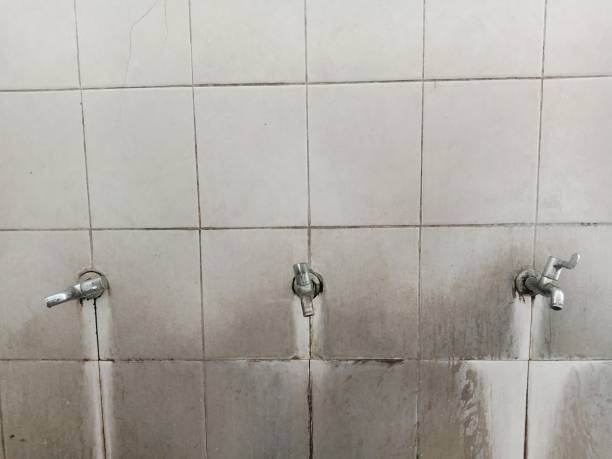 Best 24-hour water damage restoration  in Freeport, PA